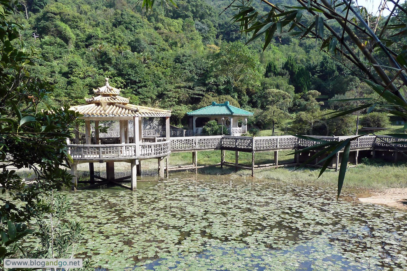 End of stage 5 - Lung Tsai Ng Yuen